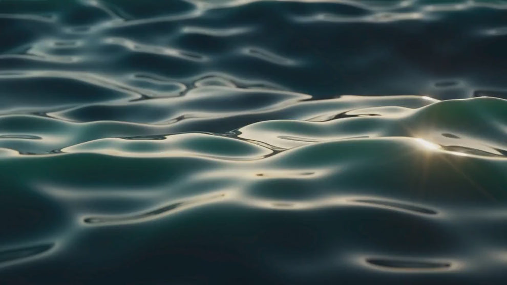 SELF-CONCEPT Regeneration